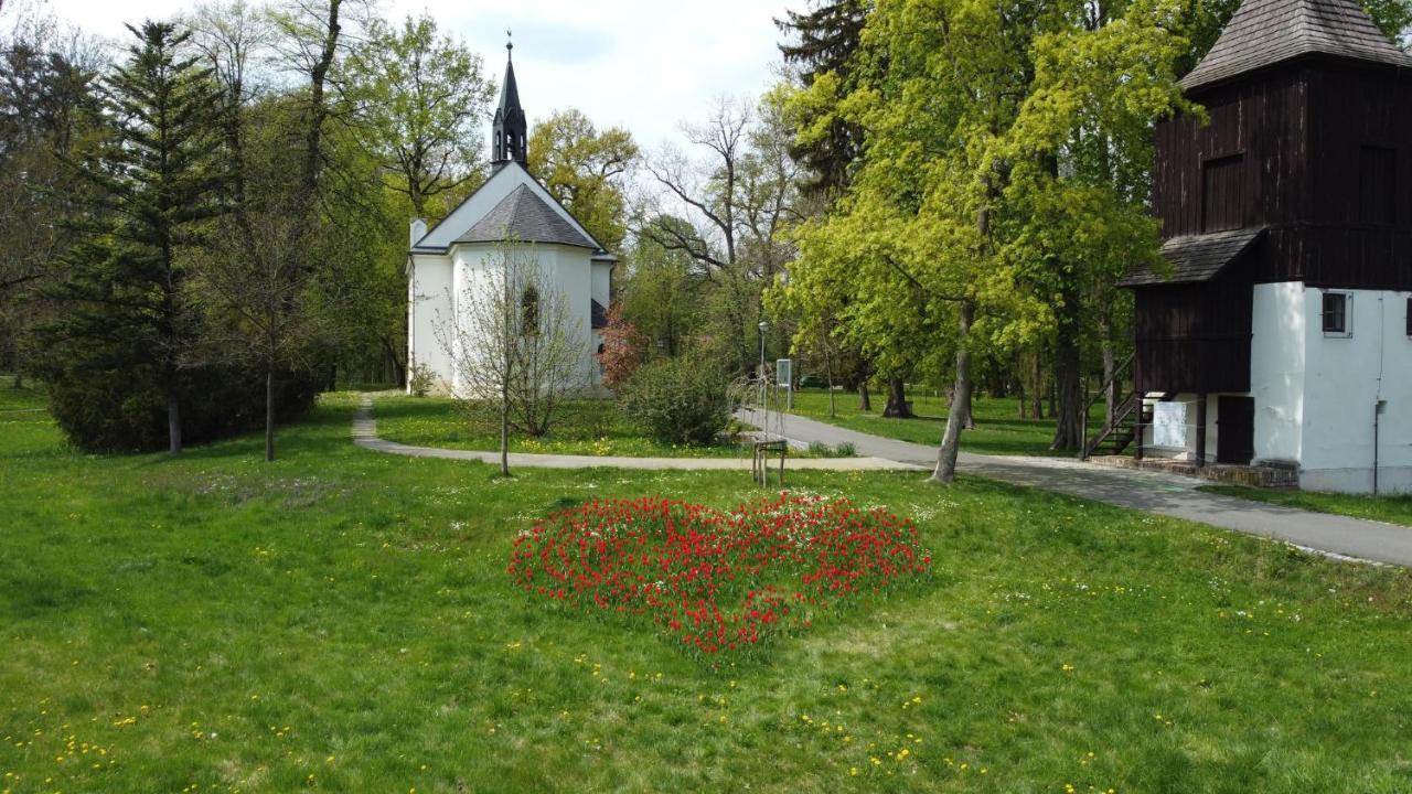 Homestay Poděbrady Εξωτερικό φωτογραφία