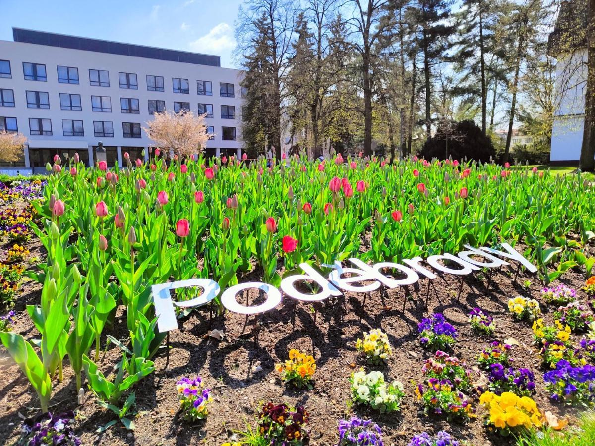 Homestay Poděbrady Εξωτερικό φωτογραφία